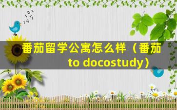 番茄留学公寓怎么样（番茄to docostudy）